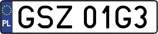 GSZ01G3