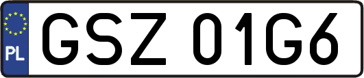 GSZ01G6
