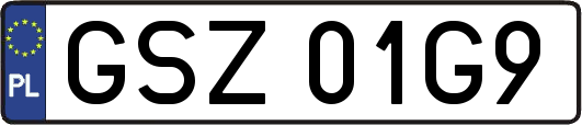 GSZ01G9