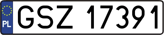GSZ17391