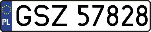GSZ57828