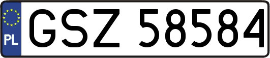 GSZ58584