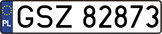 GSZ82873
