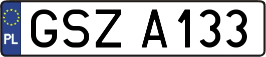 GSZA133