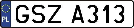 GSZA313