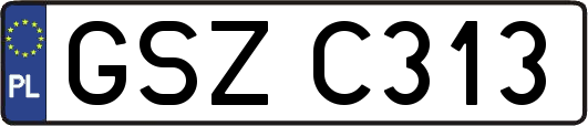 GSZC313