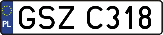 GSZC318