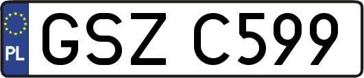 GSZC599