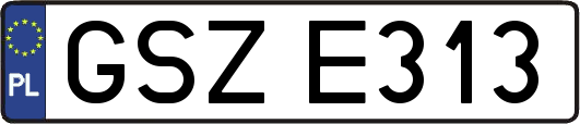GSZE313