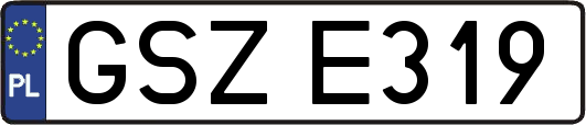 GSZE319