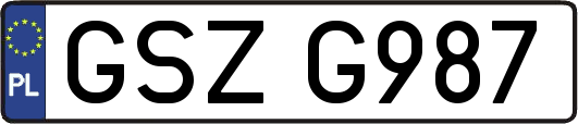 GSZG987