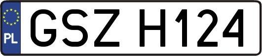 GSZH124