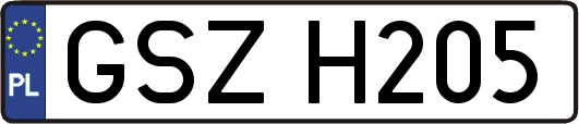 GSZH205