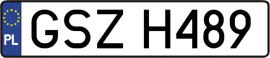 GSZH489
