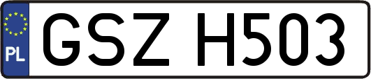 GSZH503