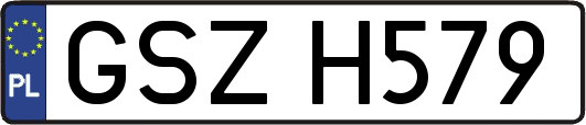 GSZH579