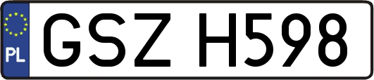 GSZH598