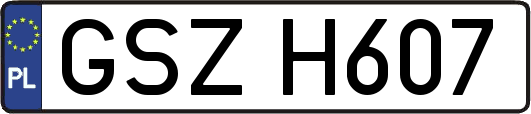 GSZH607