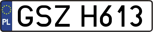 GSZH613