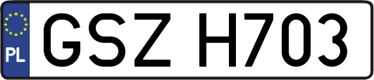 GSZH703