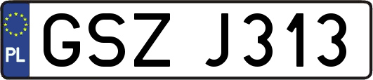 GSZJ313