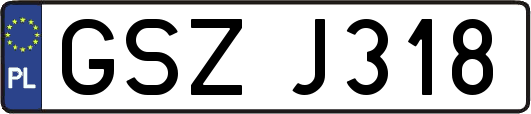 GSZJ318