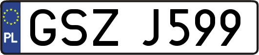 GSZJ599