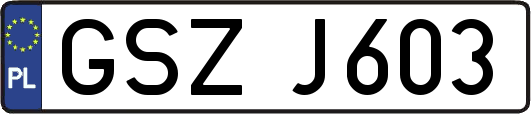 GSZJ603