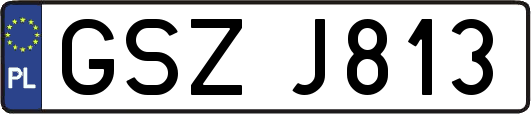 GSZJ813