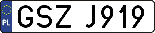 GSZJ919