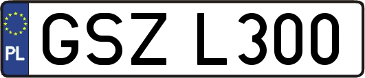 GSZL300