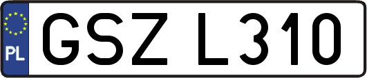 GSZL310
