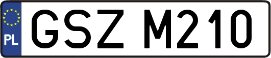 GSZM210
