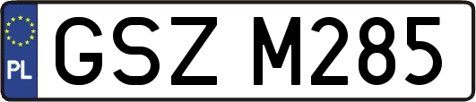 GSZM285