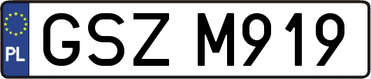 GSZM919