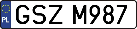 GSZM987