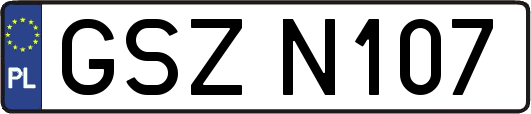 GSZN107
