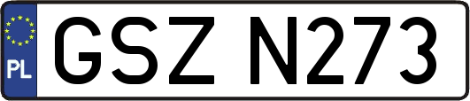GSZN273