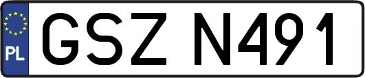 GSZN491