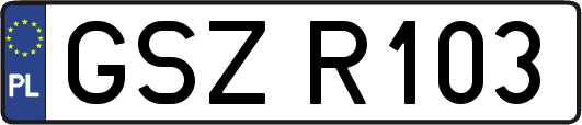 GSZR103