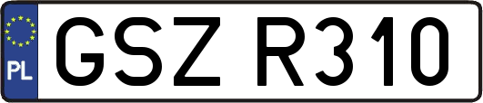 GSZR310