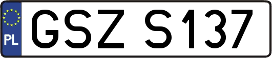 GSZS137