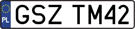 GSZTM42