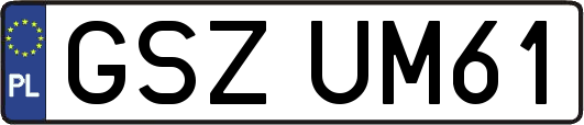 GSZUM61