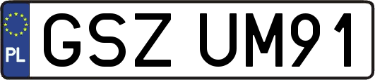 GSZUM91