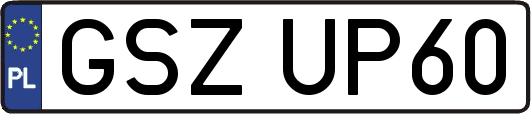 GSZUP60