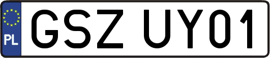 GSZUY01