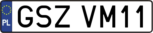 GSZVM11