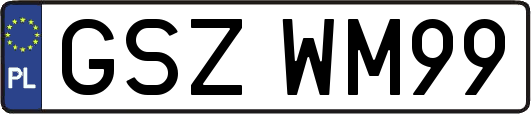 GSZWM99