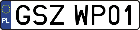 GSZWP01